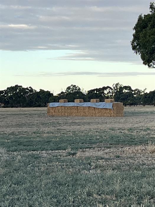 Oaten Hay for sale in Brimbago SA Lot 92692 3